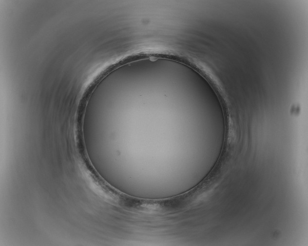 X0000113090391200909111033
