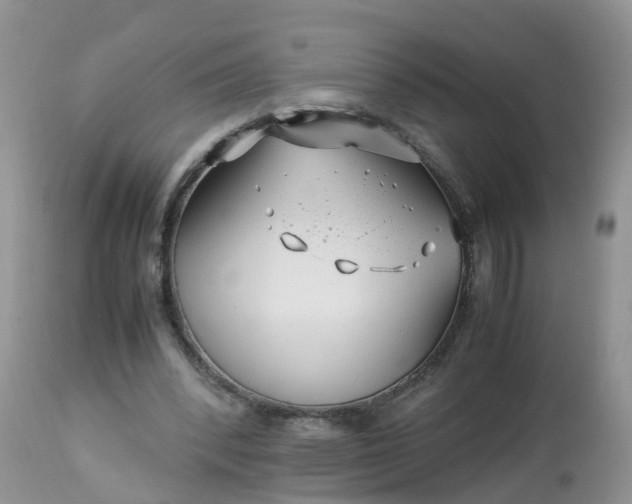 X0000113090392200909111033
