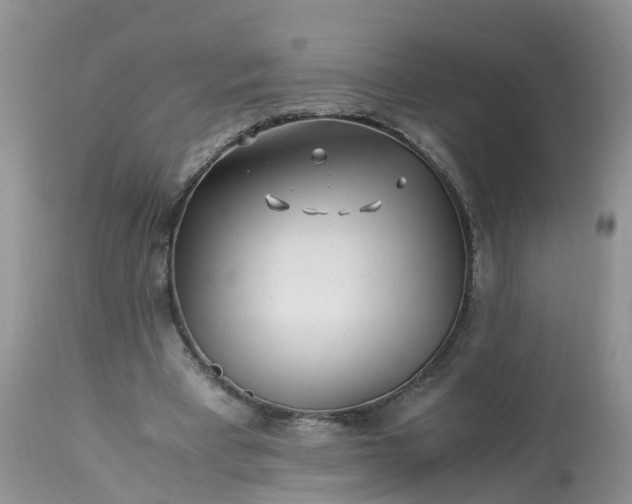 X0000113090393200909111033