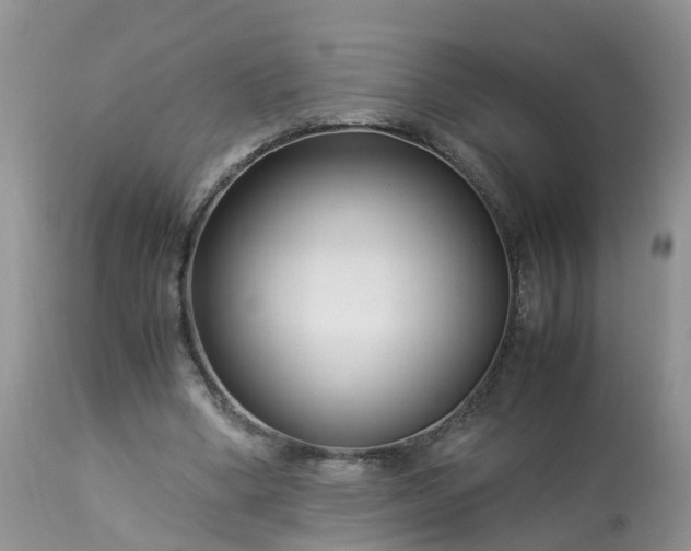 X0000113090394200909111033
