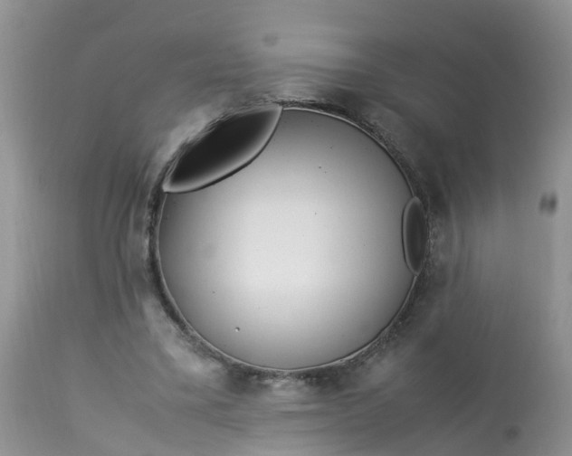 X0000113090395200909111033