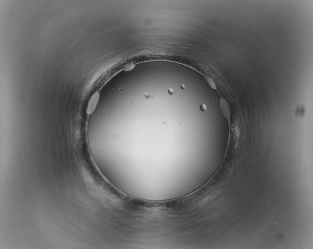 X0000113090396200909111033