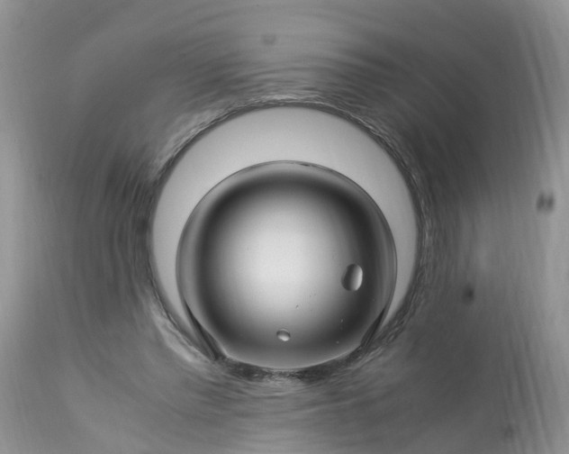 X0000113090397200909111033