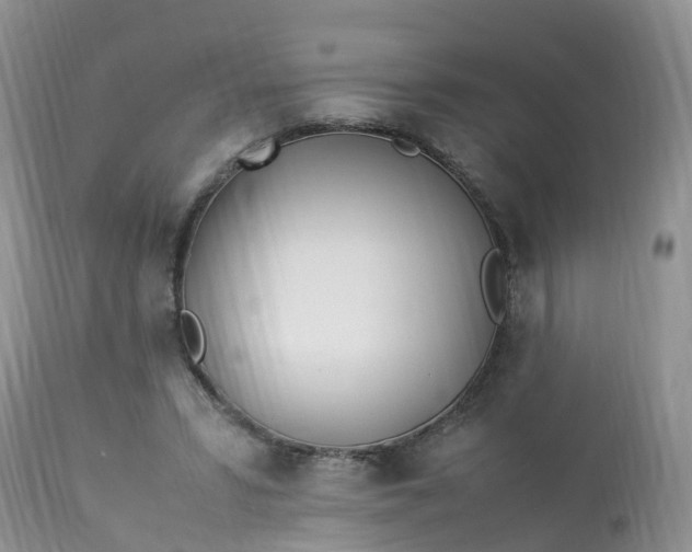 X0000113090399200909111033