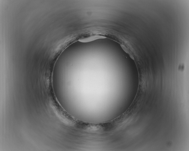 X0000113090402200909111033