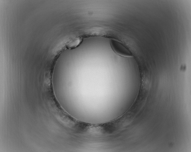 X0000113090403200909111033