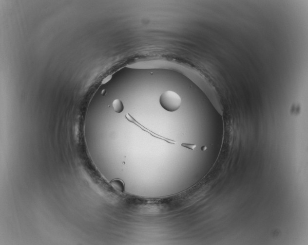 X0000113090404200909111032