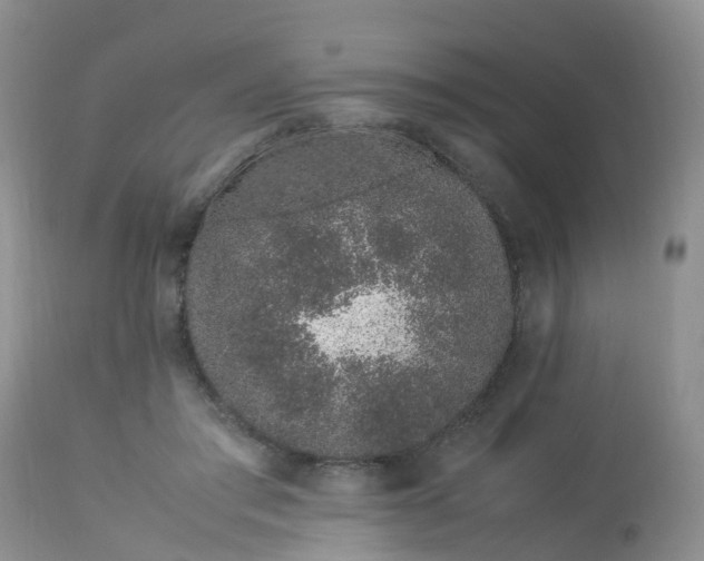 X0000113090405200909111032