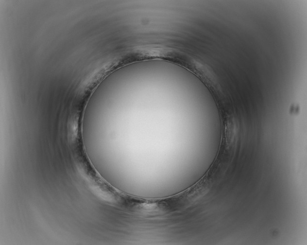 X0000113090406200909111032