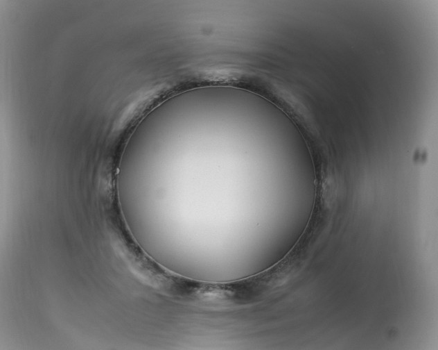 X0000113090407200909111032