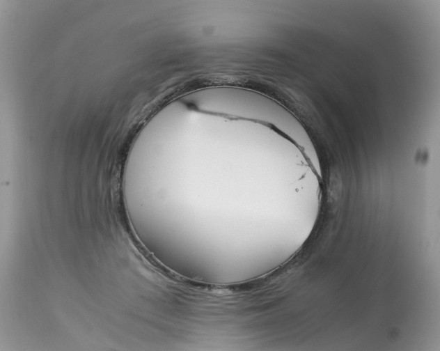 X0000113090409200909111032