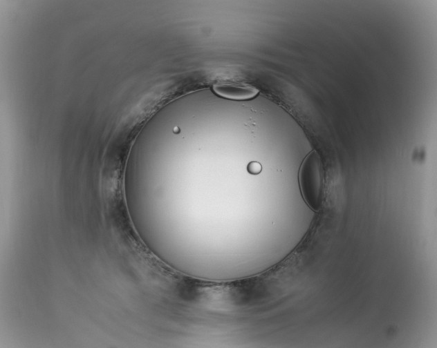 X0000113090417200909111032