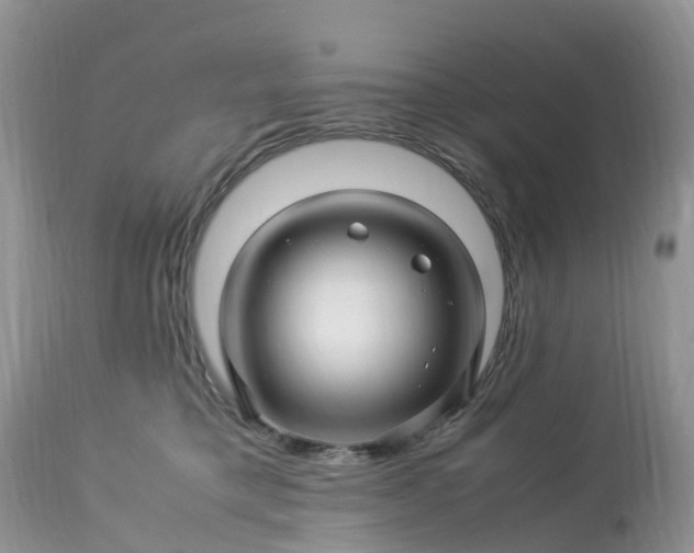 X0000113090421200909111032