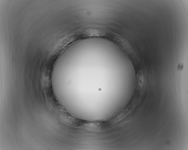 X0000113090422200909111032