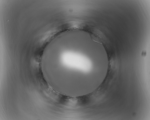 X0000113090423200909111032