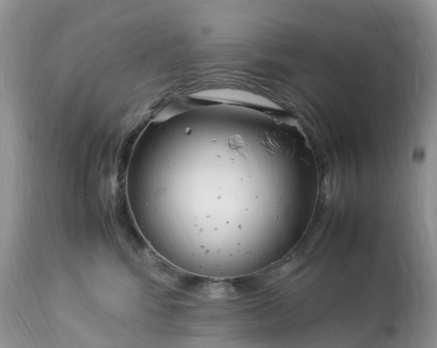 X0000113090424200909111032