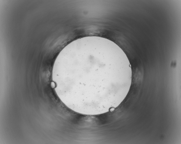 X0000113090427200909111032