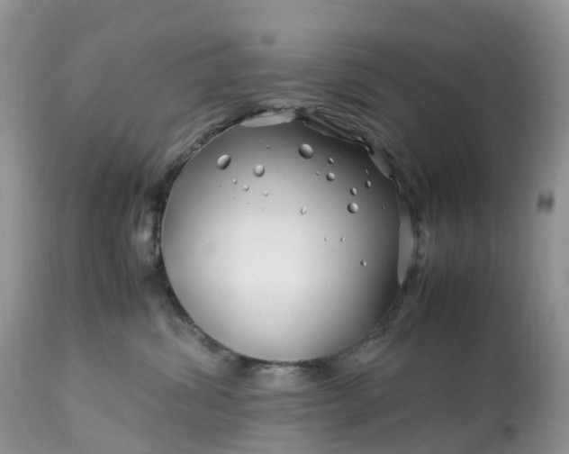 X0000113090428200909111032