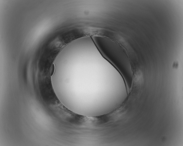 X0000113090429200909111032