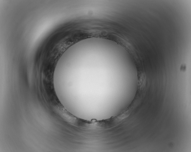 X0000113090430200909111032