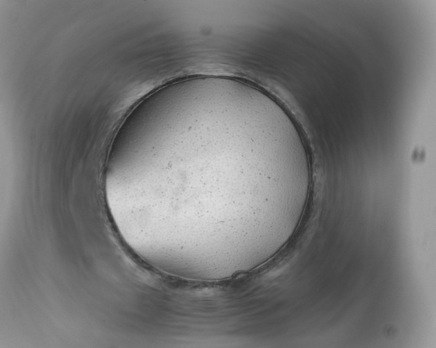 X0000113090433200909111031