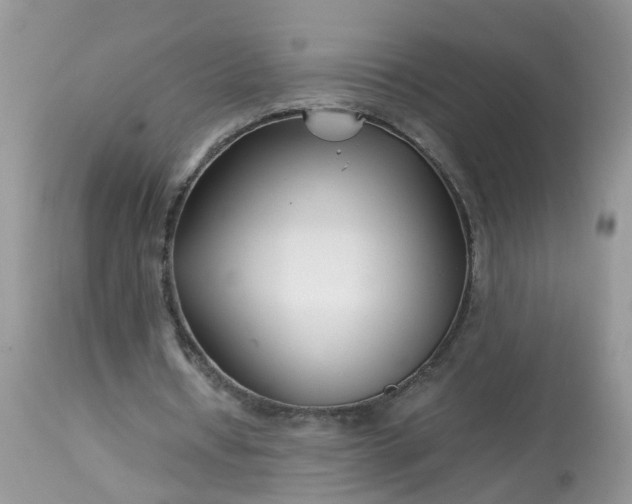 X0000113090434200909111031