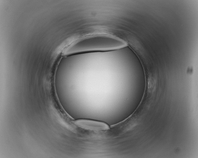 X0000113090436200909111031