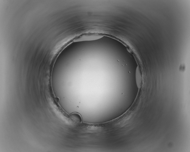X0000113090437200909111031