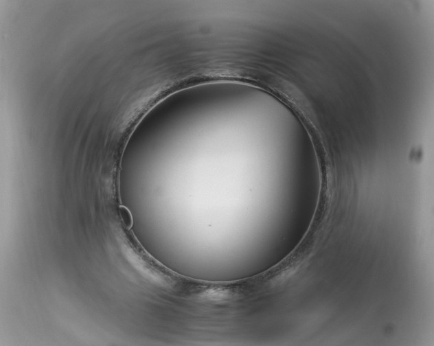 X0000113090441200909111031