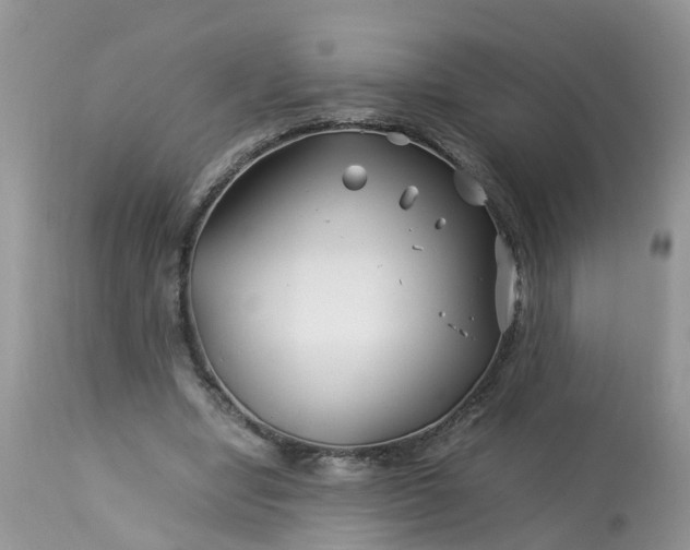 X0000113090442200909111031