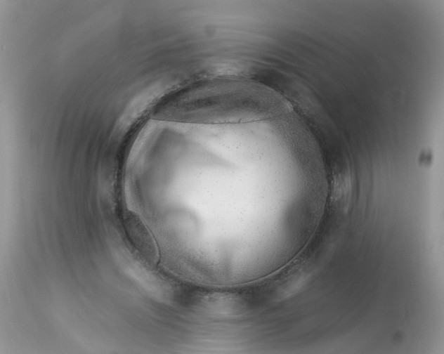 X0000113090444200909111031