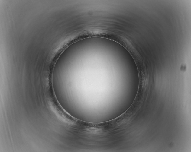 X0000113090447200909111031