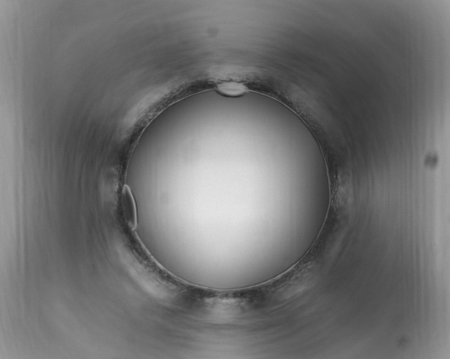 X0000113090448200909111031