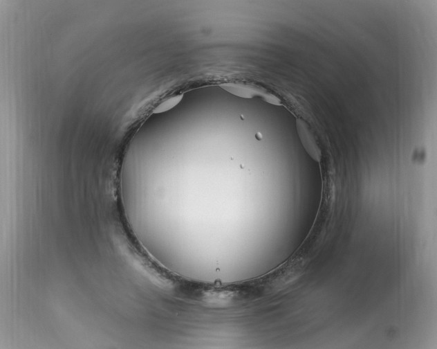 X0000113090450200909111032