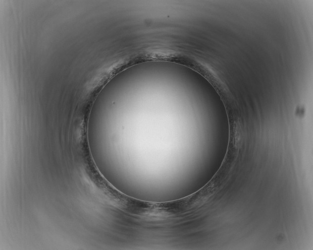 X0000113090451200909111032