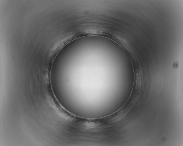 X0000113090453200909111032
