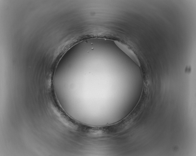 X0000113090454200909111032
