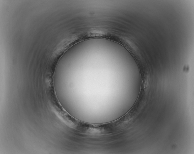 X0000113090455200909111032
