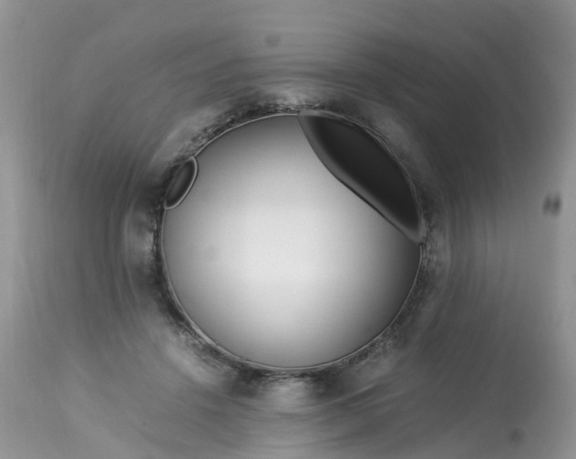 X0000113090456200909111032