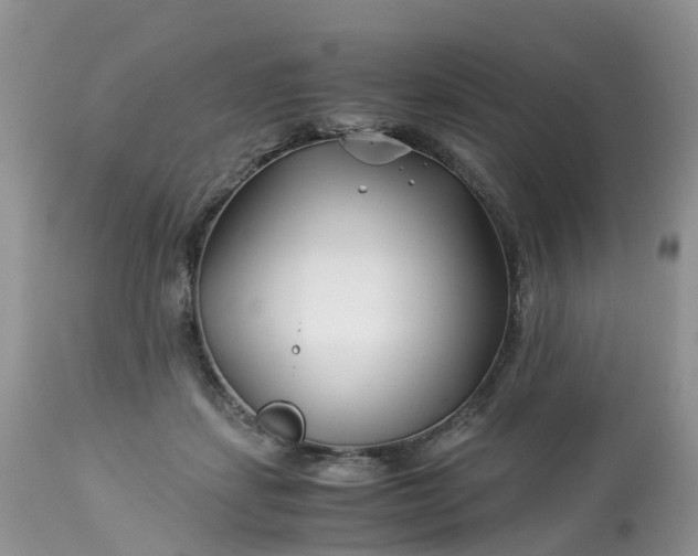 X0000113090459200909111032