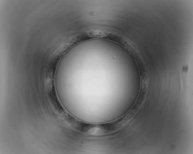 X0000113090460200909111032