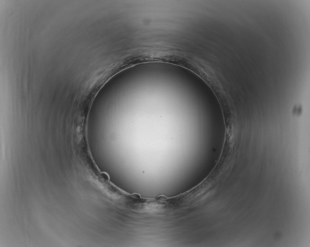 X0000113090462200909111032