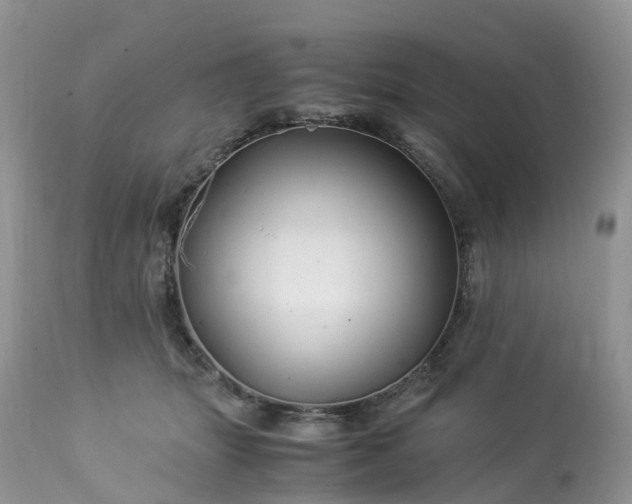 X0000113090463200909111032