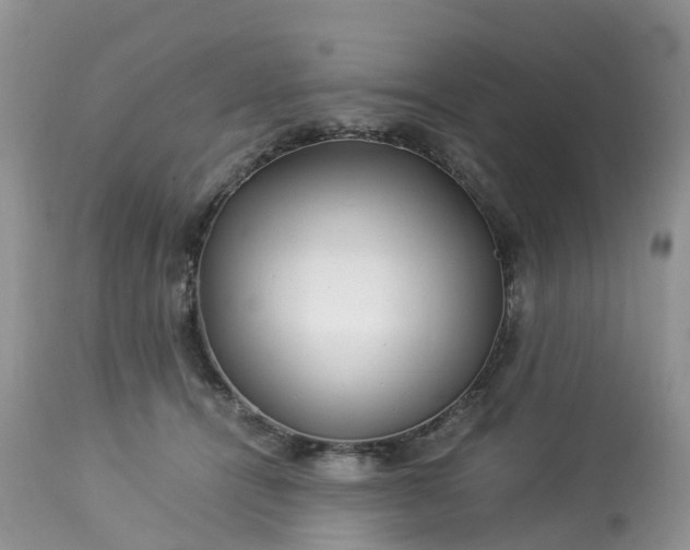 X0000113090464200909111032
