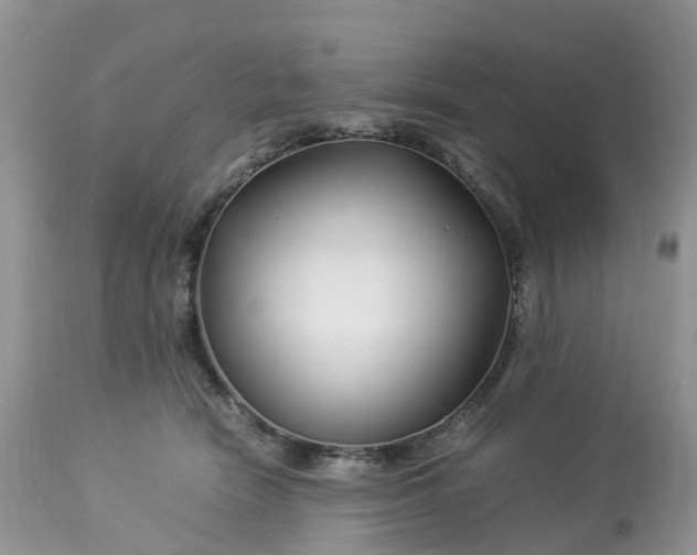 X0000113090466200909111032