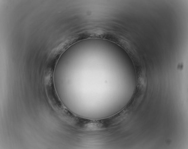 X0000113090468200909111032