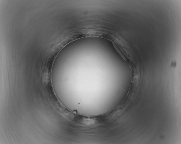 X0000113090469200909111032