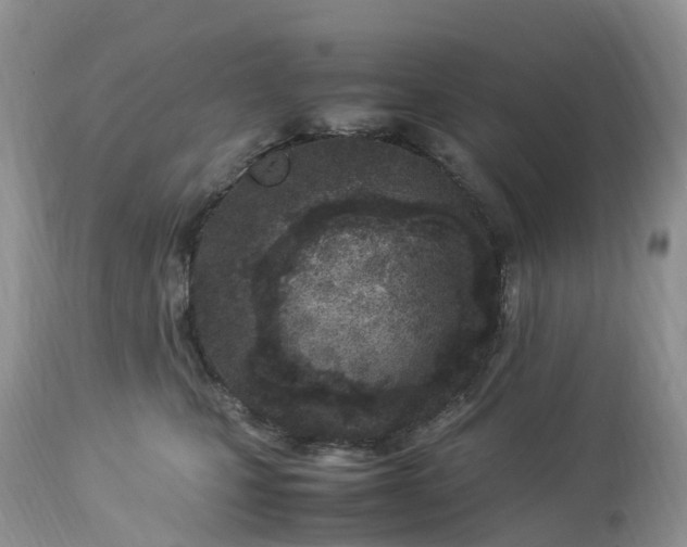 X0000113090471200909111032