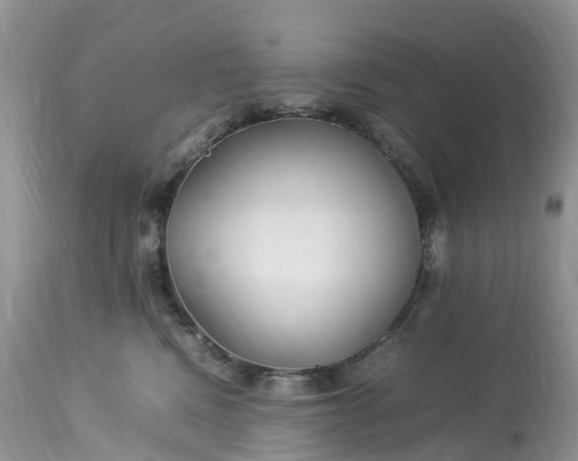 X0000113090472200909111032