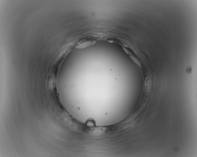 X0000113090474200909111032